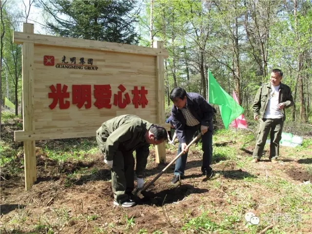 3.12植树节真情演绎绿色文化