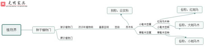 实木家具选材--红斑马木史上最完整全面的图文介绍