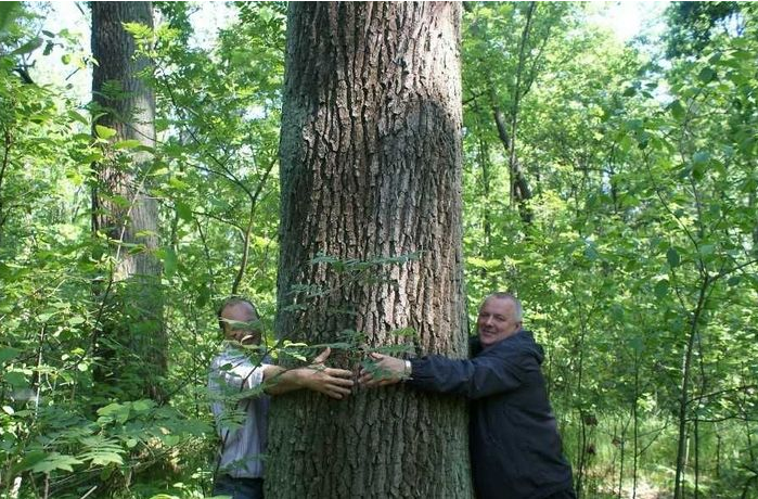 实木家具的特点是不是缺陷！完全没有色差的实木家具你敢要吗？